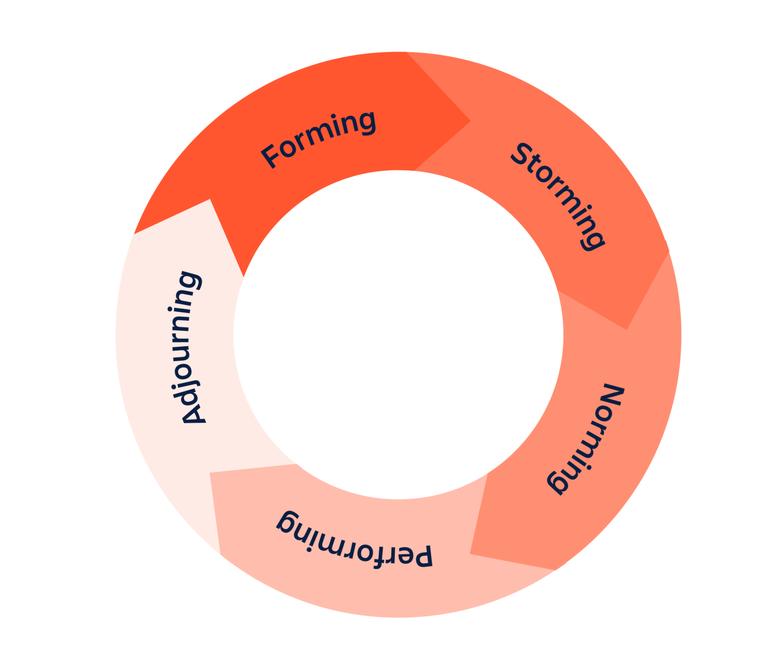 Модель forming-storming-norming-performing-adjourning (FSNPA)